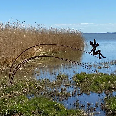 Haus Schwalbe Mit Vineta Komfort Haeusern * 젤핀